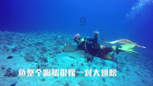 100天学霸养成